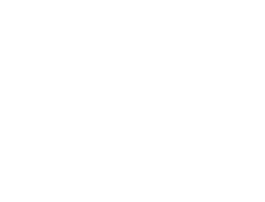 Decorative line