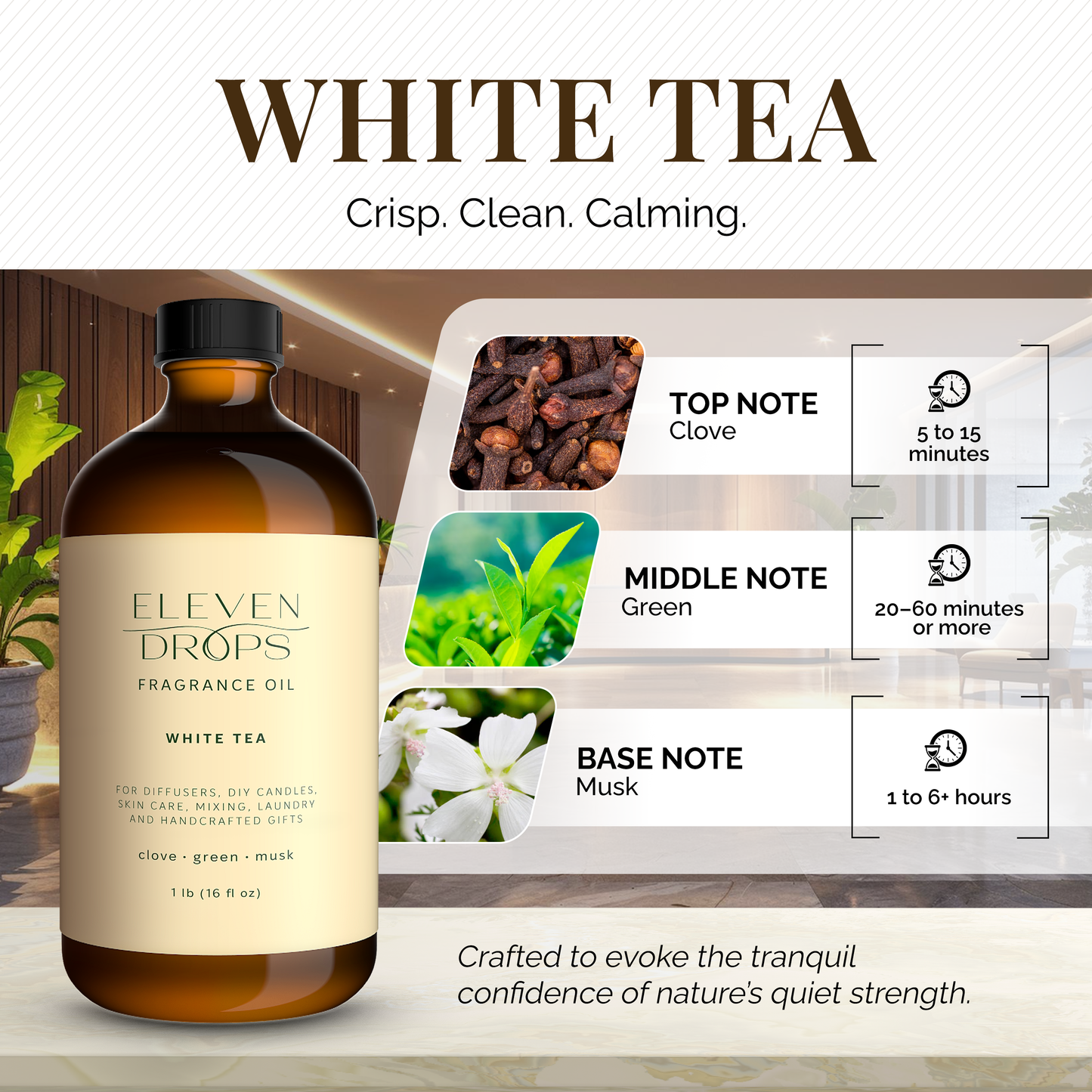 White Tea Essential Diffuser Oil - Premium Luxurious Fragrance Oil