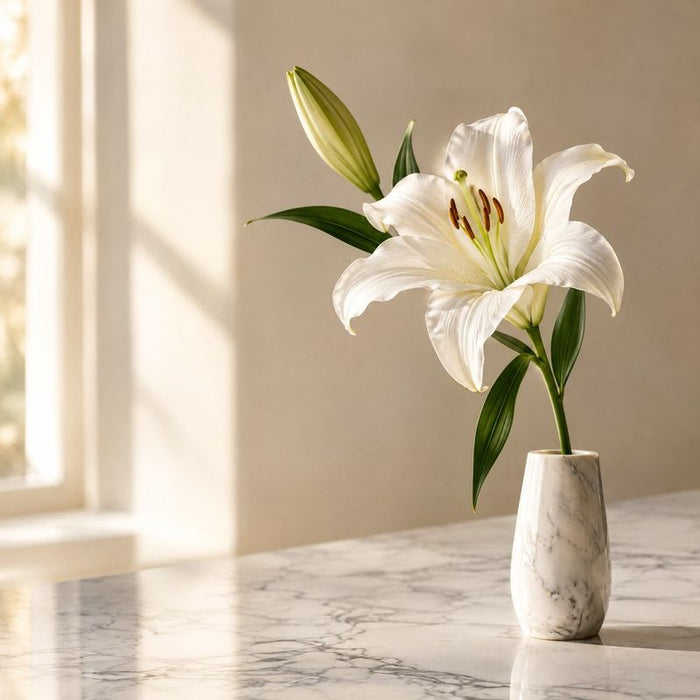 Lily