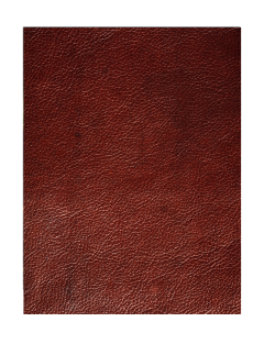 Leather