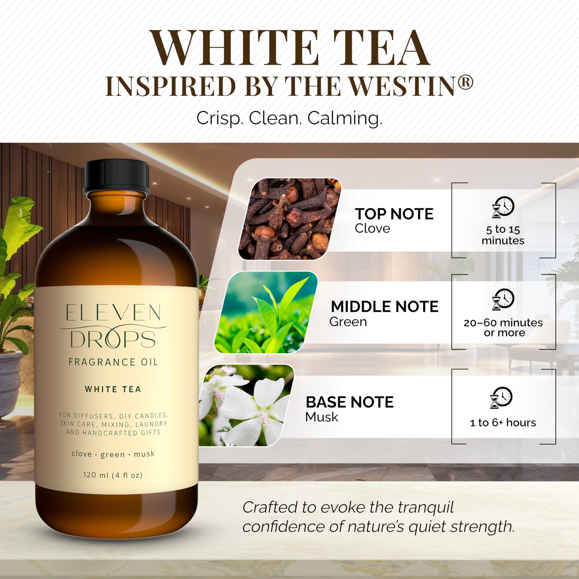 Eleven Drops White Tea Fragrance Oil