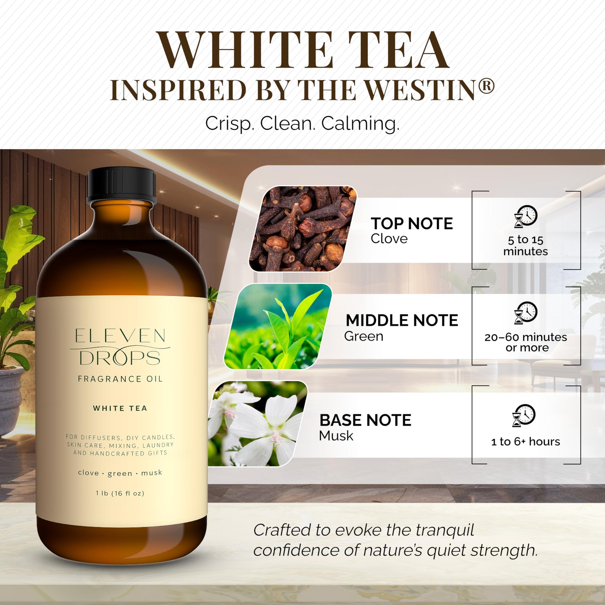 Eleven Drops White Tea Fragrance Oil