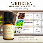 Eleven Drops White Tea Fragrance Oil