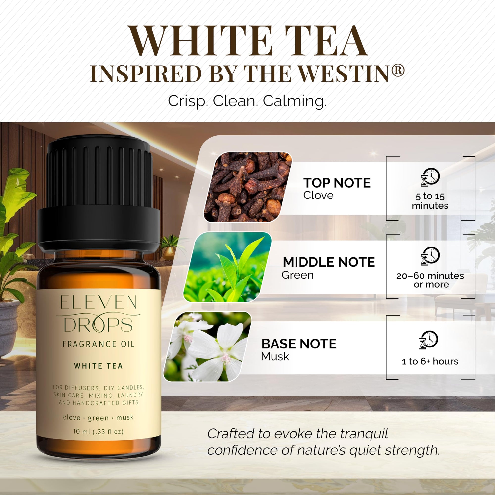 Eleven Drops White Tea Fragrance Oil