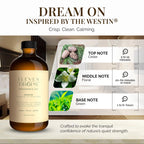 Eleven Drops Dreaming