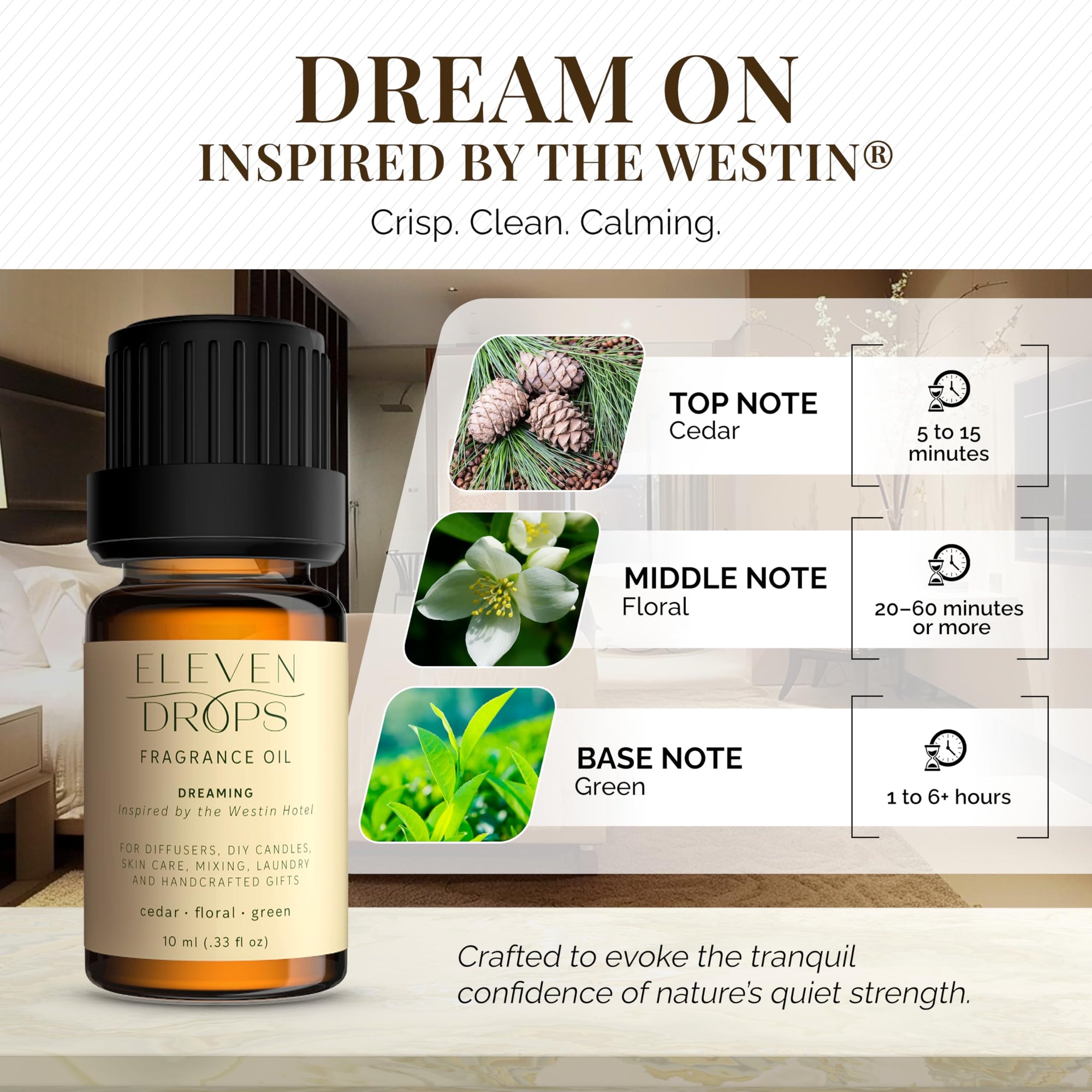 Eleven Drops Dreaming