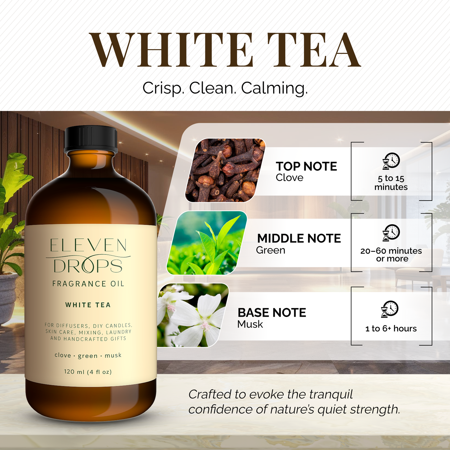 Dreaming, My Way & White Tea Trio