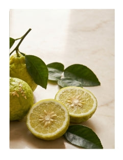 Bright Bergamot