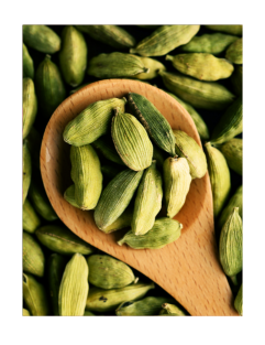 Cardamom
