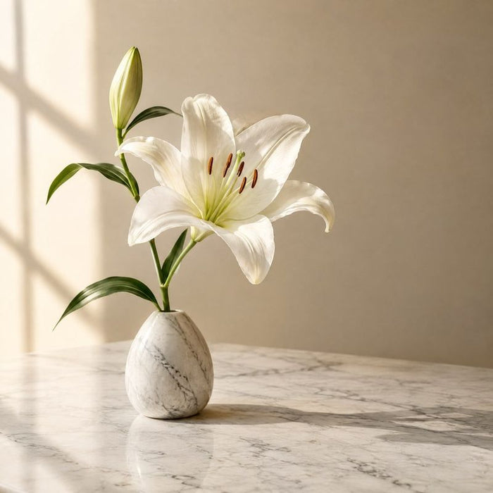 Lily